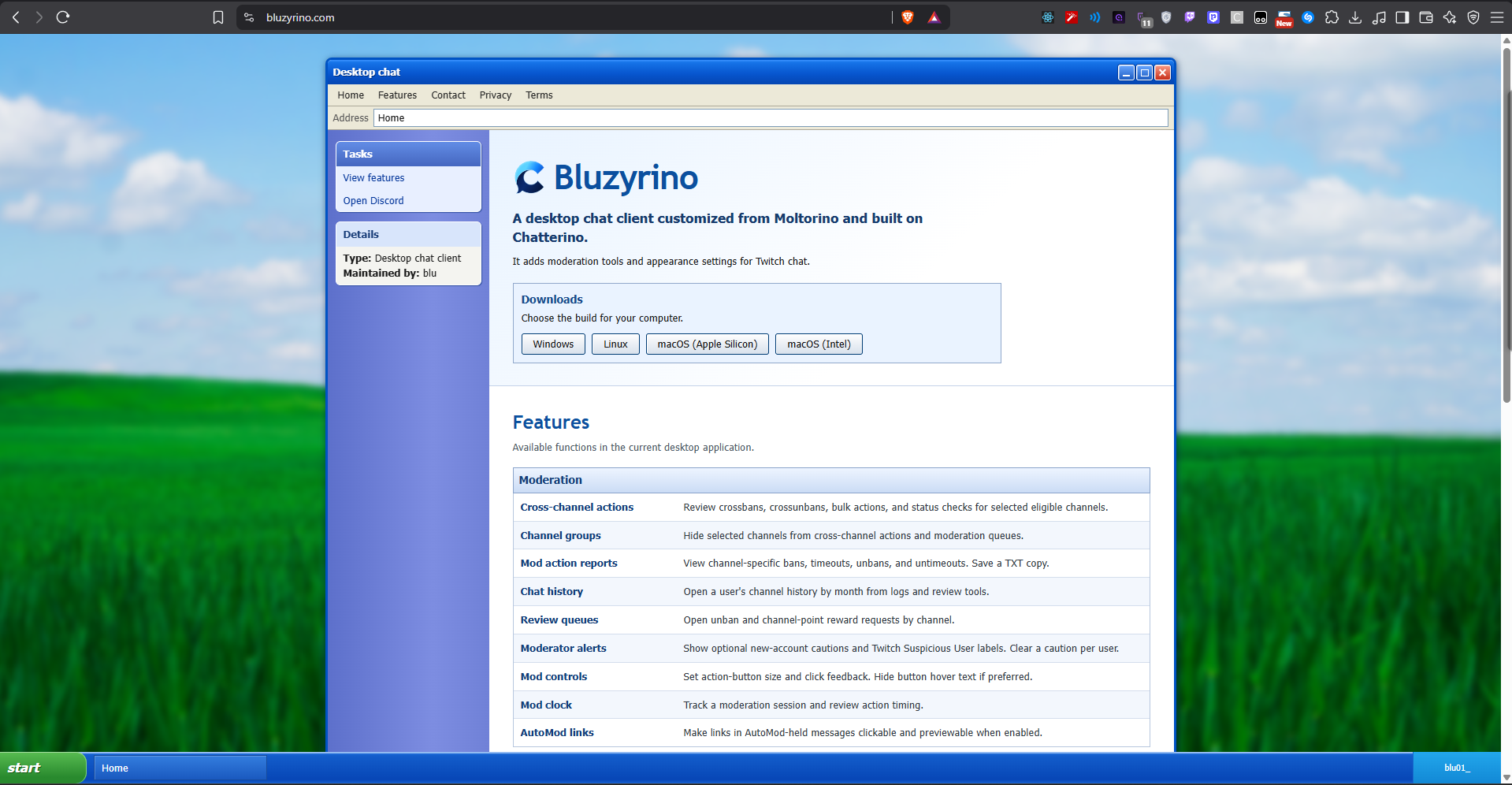 Bluzyrino — image 2